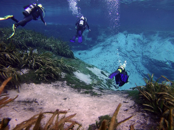 The Best Scuba Diving Experiences around Orlando, Florida