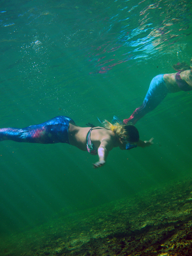 Dayo Scuba Center LLC, Orlando Florida www.dayo.com