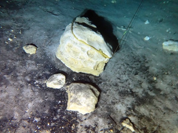 Dayo Scuba Center LLC, Orlando Florida www.dayo.com