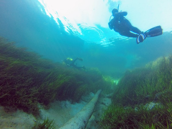 Dayo Scuba Center LLC, Orlando Florida www.dayo.com