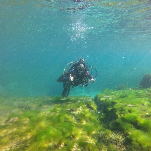 Dayo Scuba Center LLC, Orlando Florida www.dayo.com