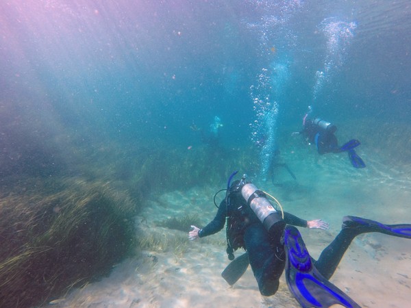 Dayo Scuba Center LLC, Orlando Florida www.dayo.com