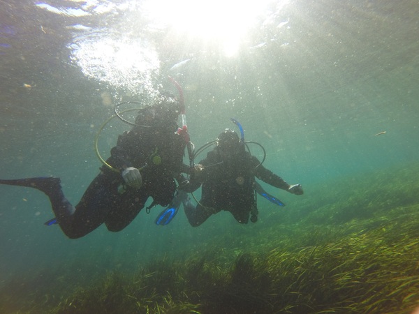 Dayo Scuba Center LLC, Orlando Florida www.dayo.com