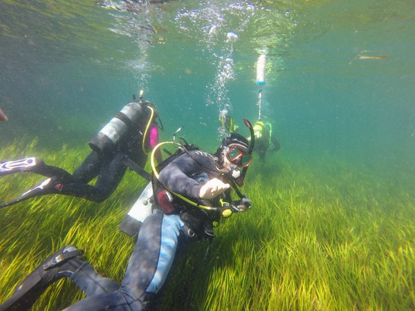 Dayo Scuba Center LLC, Orlando Florida www.dayo.com