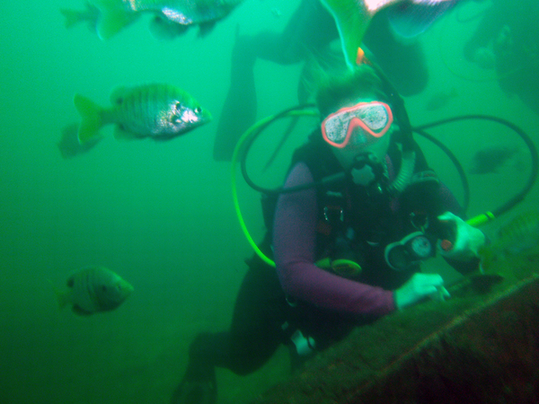 Dayo Scuba Center LLC, Orlando Florida www.dayo.com