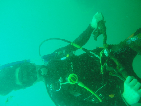 Dayo Scuba Center LLC, Orlando Florida www.dayo.com