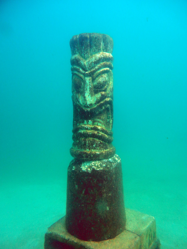 Dayo Scuba Center LLC, Orlando Florida www.dayo.com