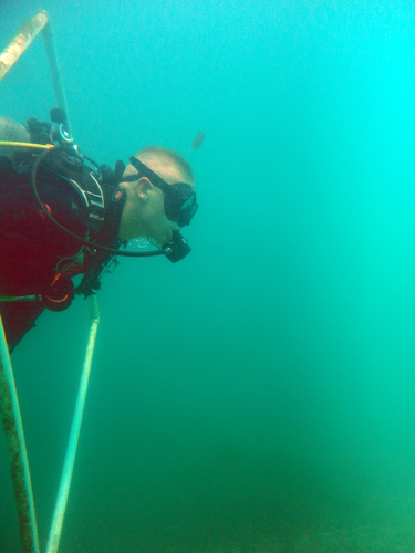 Dayo Scuba Center LLC, Orlando Florida www.dayo.com