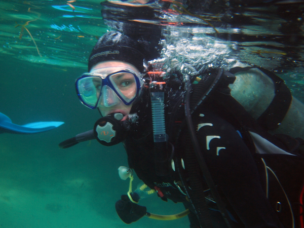 Dayo Scuba Center LLC, Orlando Florida www.dayo.com
