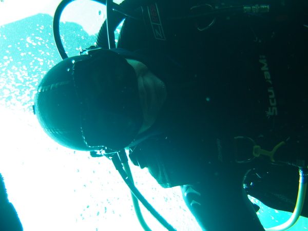 Dayo Scuba Center LLC, Orlando Florida www.dayo.com