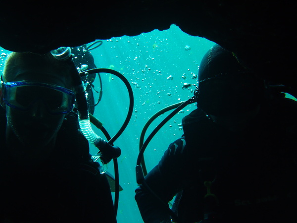 Dayo Scuba Center LLC, Orlando Florida www.dayo.com