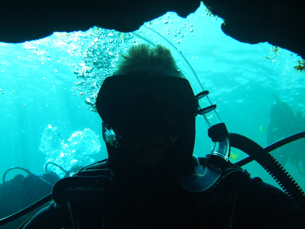 Dayo Scuba Center LLC, Orlando Florida www.dayo.com