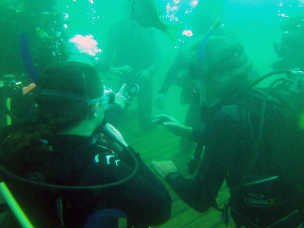 Dayo Scuba Center LLC, Orlando Florida www.dayo.com