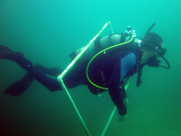 Dayo Scuba Center LLC, Orlando Florida www.dayo.com