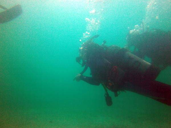 Dayo Scuba Center LLC, Orlando Florida www.dayo.com