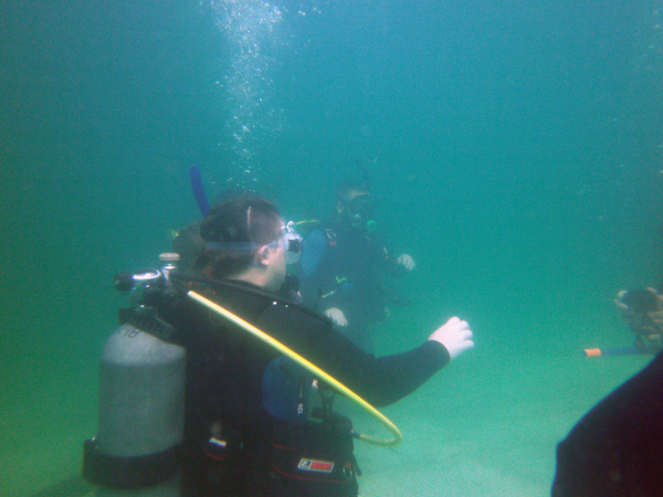 Dayo Scuba Center LLC, Orlando Florida www.dayo.com