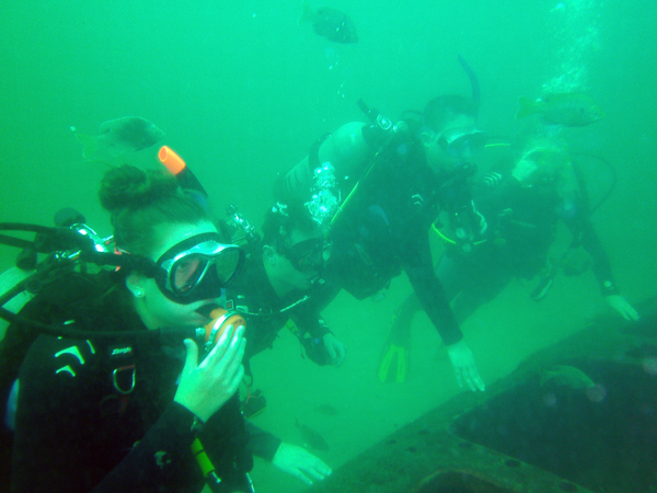 Dayo Scuba Center LLC, Orlando Florida www.dayo.com