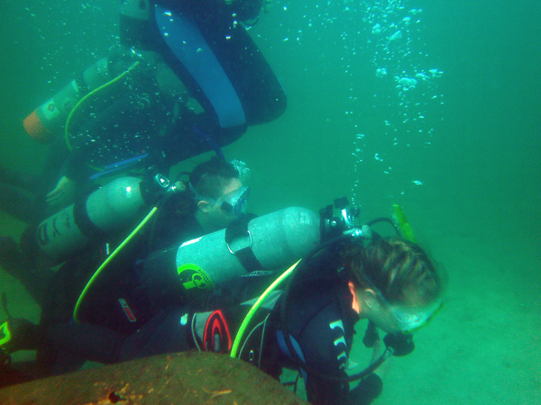 Dayo Scuba Center LLC, Orlando Florida www.dayo.com
