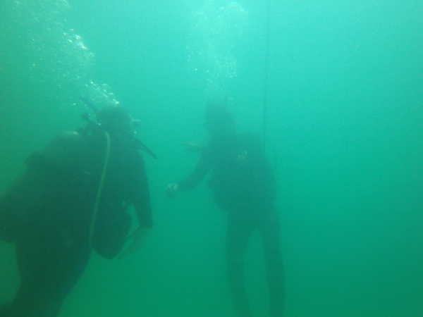 Dayo Scuba Center LLC, Orlando Florida www.dayo.com
