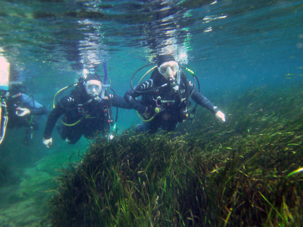 Dayo Scuba Center LLC, Orlando Florida www.dayo.com