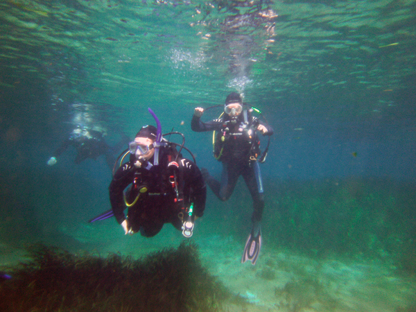 Dayo Scuba Center LLC, Orlando Florida www.dayo.com