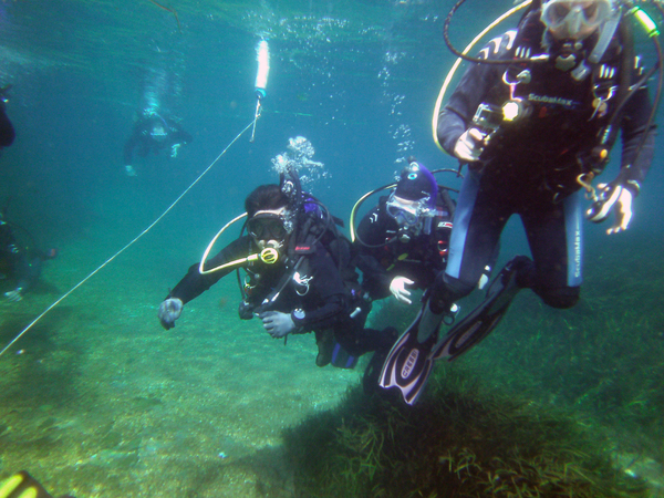 Dayo Scuba Center LLC, Orlando Florida www.dayo.com
