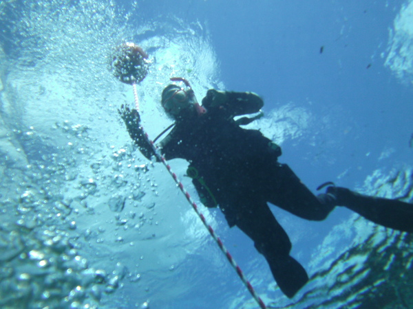 Dayo Scuba Center LLC, Orlando Florida www.dayo.com