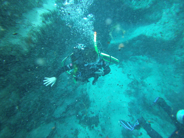Dayo Scuba Center LLC, Orlando Florida www.dayo.com