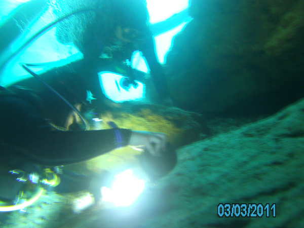 Dayo Scuba Center LLC, Orlando Florida www.dayo.com