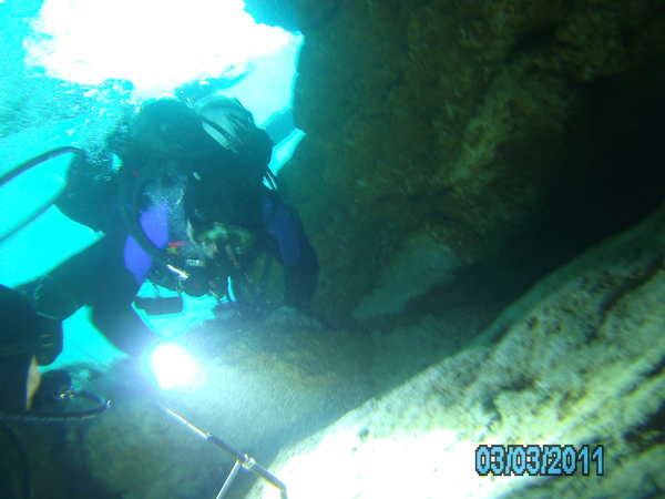 Dayo Scuba Center LLC, Orlando Florida www.dayo.com