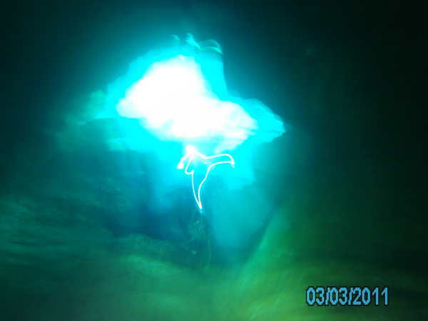 Dayo Scuba Center LLC, Orlando Florida www.dayo.com
