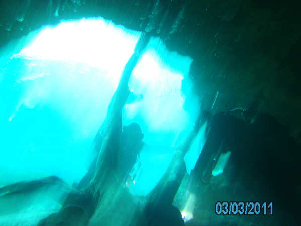 Dayo Scuba Center LLC, Orlando Florida www.dayo.com