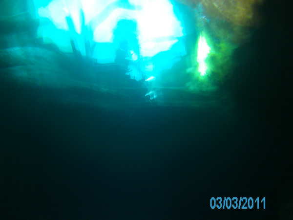 Dayo Scuba Center LLC, Orlando Florida www.dayo.com