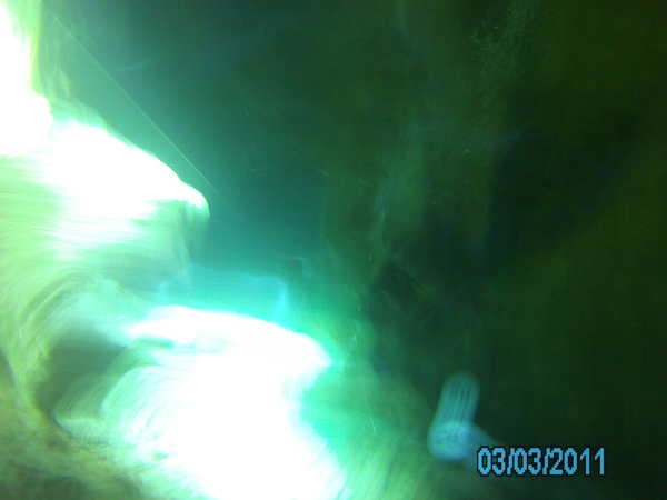 Dayo Scuba Center LLC, Orlando Florida www.dayo.com