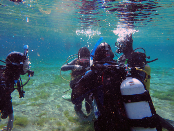 Dayo Scuba Center LLC, Orlando Florida www.dayo.com