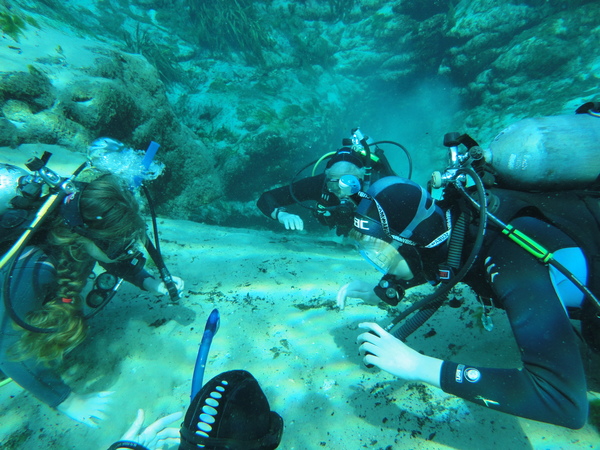Dayo Scuba Center LLC, Orlando Florida www.dayo.com