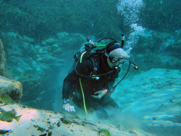 Dayo Scuba Center LLC, Orlando Florida www.dayo.com