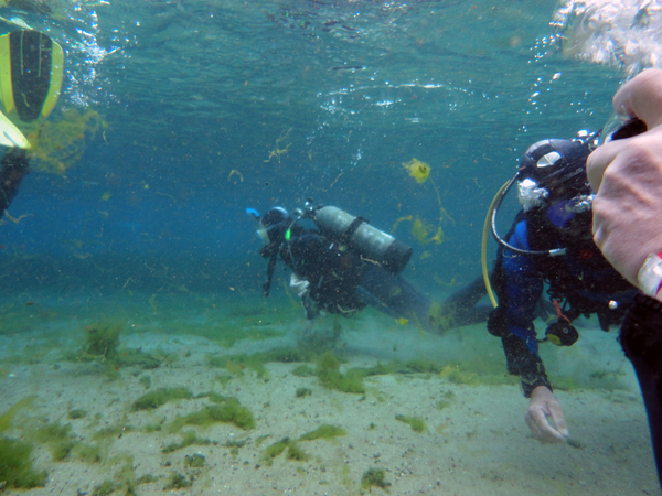 Dayo Scuba Center LLC, Orlando Florida www.dayo.com