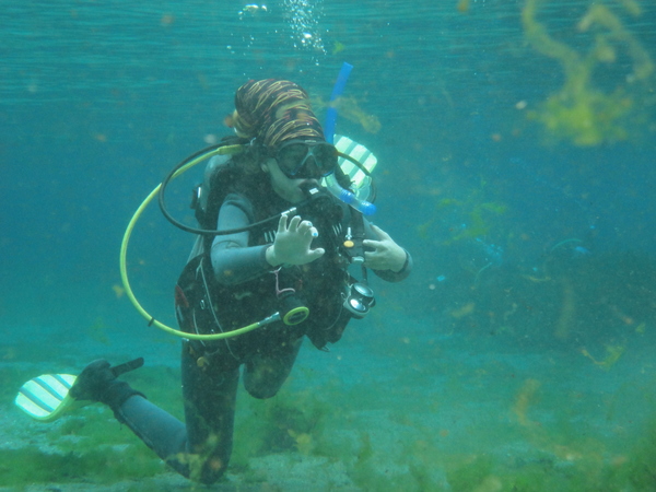 Dayo Scuba Center LLC, Orlando Florida www.dayo.com