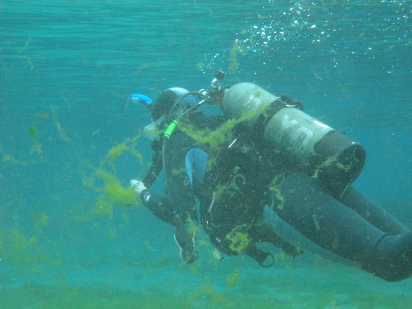 Dayo Scuba Center LLC, Orlando Florida www.dayo.com