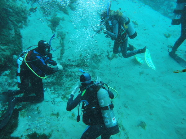 Dayo Scuba Center LLC, Orlando Florida www.dayo.com