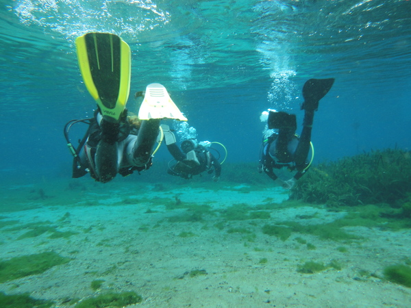 Dayo Scuba Center LLC, Orlando Florida www.dayo.com