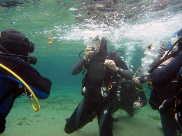 Dayo Scuba Center LLC, Orlando Florida www.dayo.com
