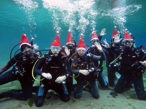 Dayo Scuba Center LLC, Orlando Florida www.dayo.com