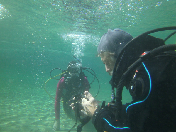 Dayo Scuba Center LLC, Orlando Florida www.dayo.com
