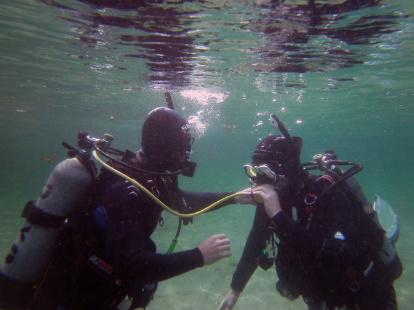 Dayo Scuba Center LLC, Orlando Florida www.dayo.com