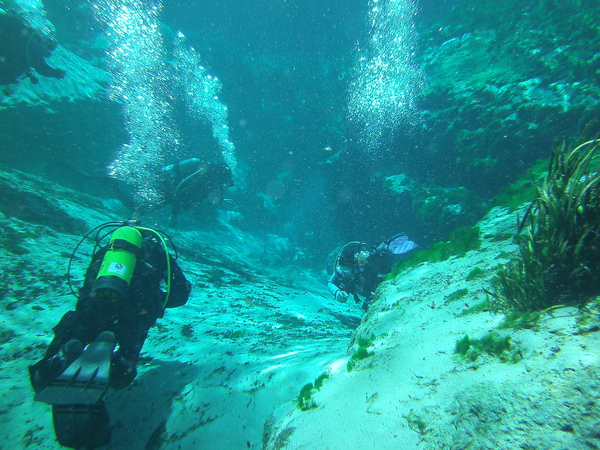 Dayo Scuba Center LLC, Orlando Florida www.dayo.com