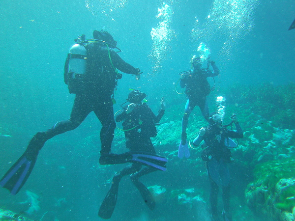 Dayo Scuba Center LLC, Orlando Florida www.dayo.com
