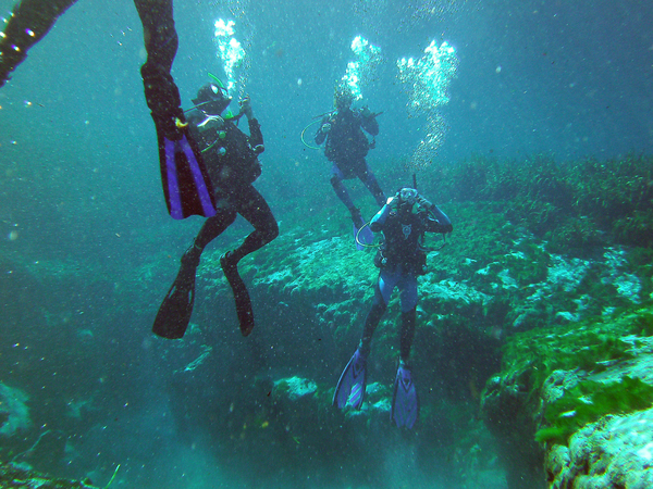 Dayo Scuba Center LLC, Orlando Florida www.dayo.com