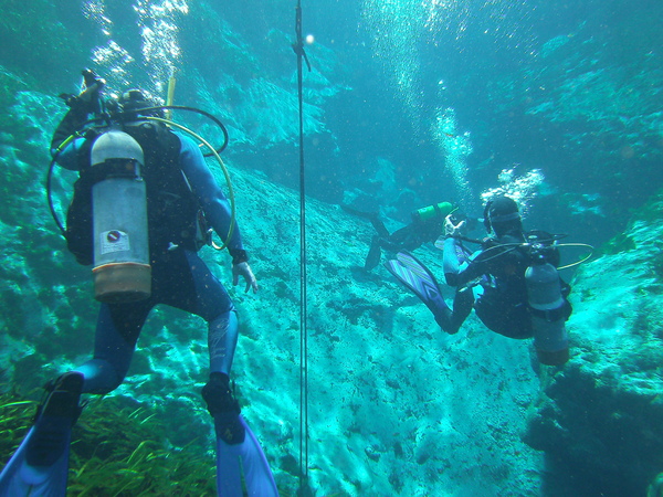 Dayo Scuba Center LLC, Orlando Florida www.dayo.com